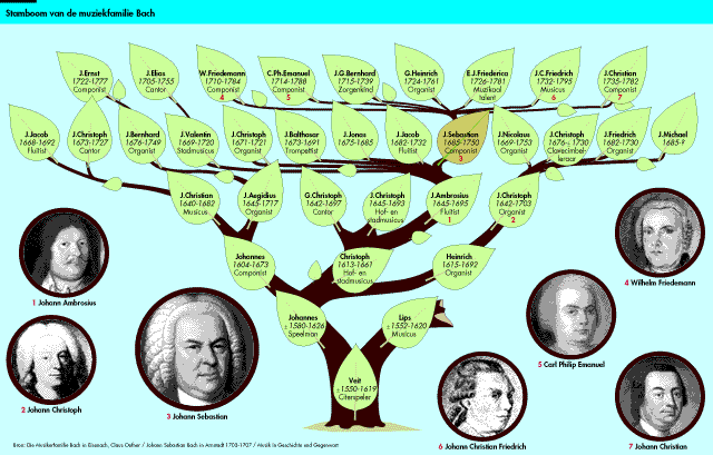 Stamboom van de mzuiekfamilie Bach